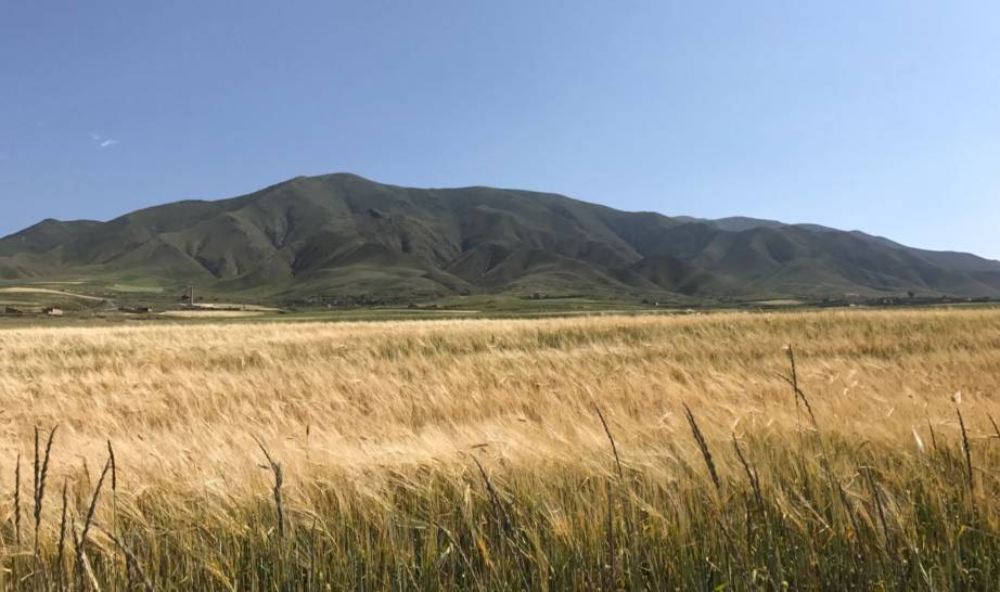 中国学历最高的有钱人喜欢开什么车?|聚访