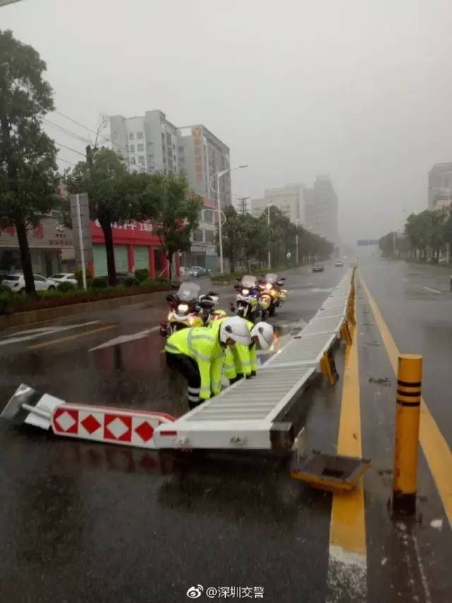 广东什么时候最多台风 3CF1EBCA667D04DCC05513CD182B179DE33770B6_size45_w640_h853.jpeg