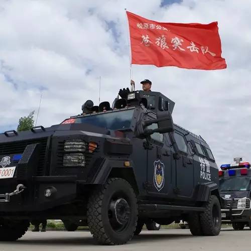 《苍狼雄威》摄影:王岩 _副本.jpg