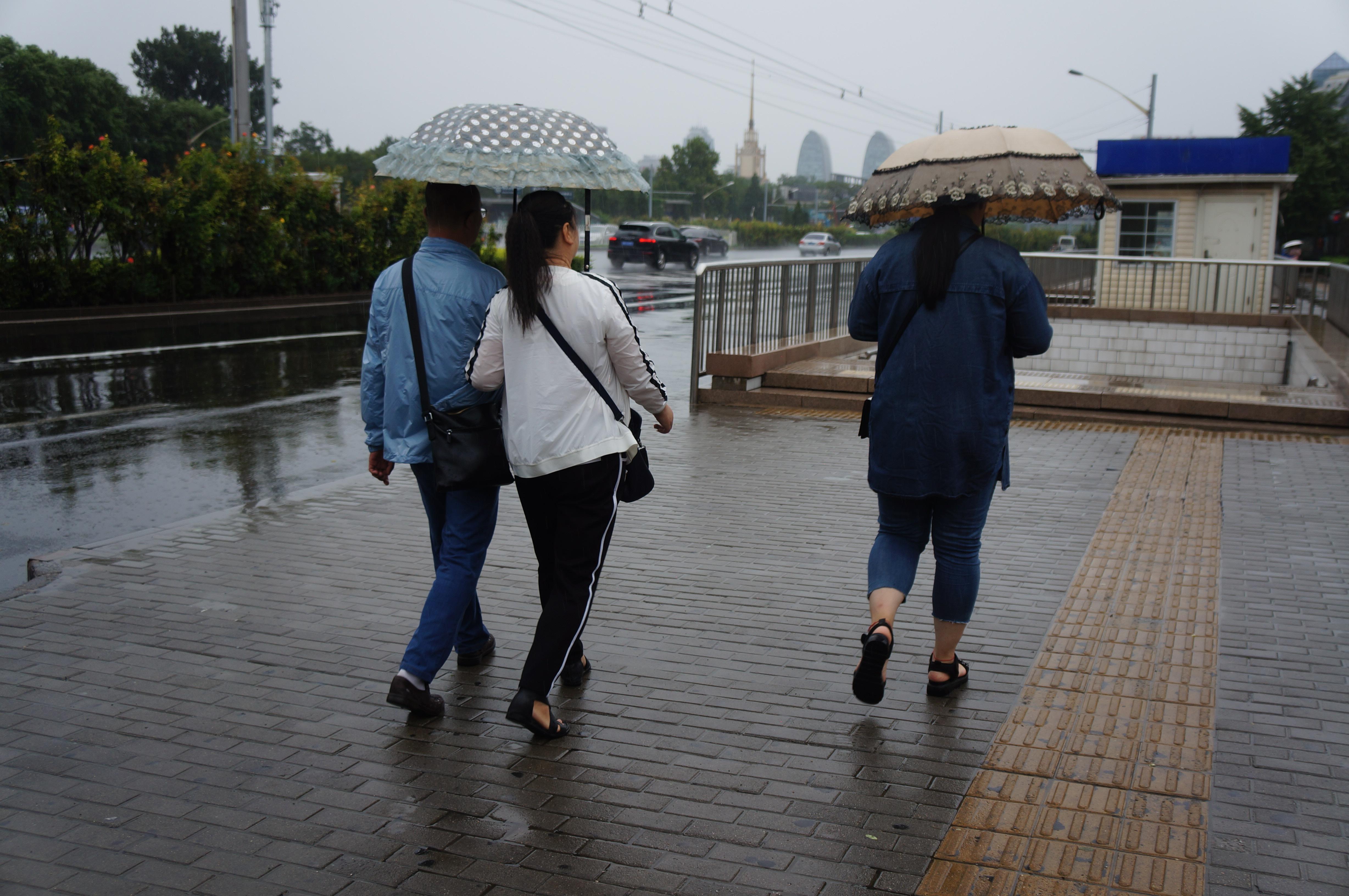 京城降秋雨,雨中花伞美如画
