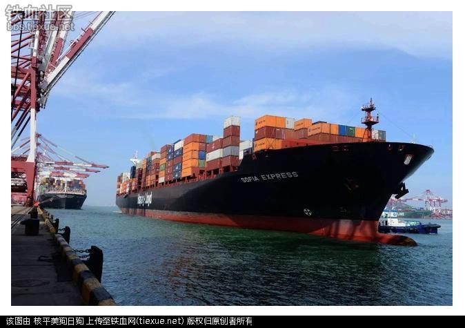 印度又爆发内乱了!印度多地完全瘫痪!(图13) 铁血网提醒您:点击查看大图