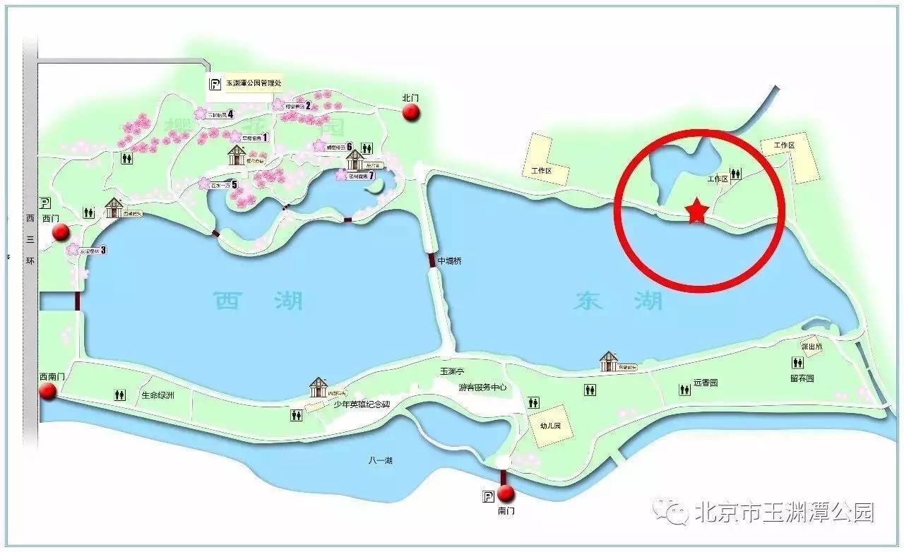 东湖湿地公园位于公园的东湖北岸, 占地面积达9万平方米, 是北京三环
