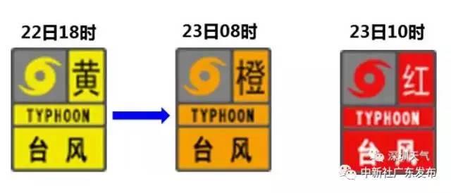 今年最强台风"天鸽"来袭,一线记者是如何报道的?