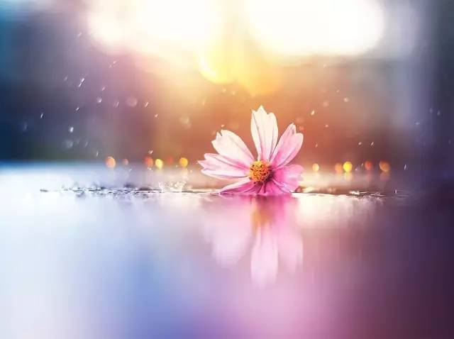 每日诗词丨愿有岁月可回首，且以情深共白头