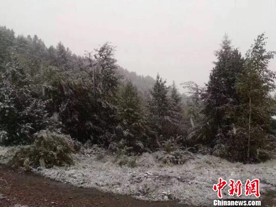中国北极迎首降雪 与南方多地产温差约30°C