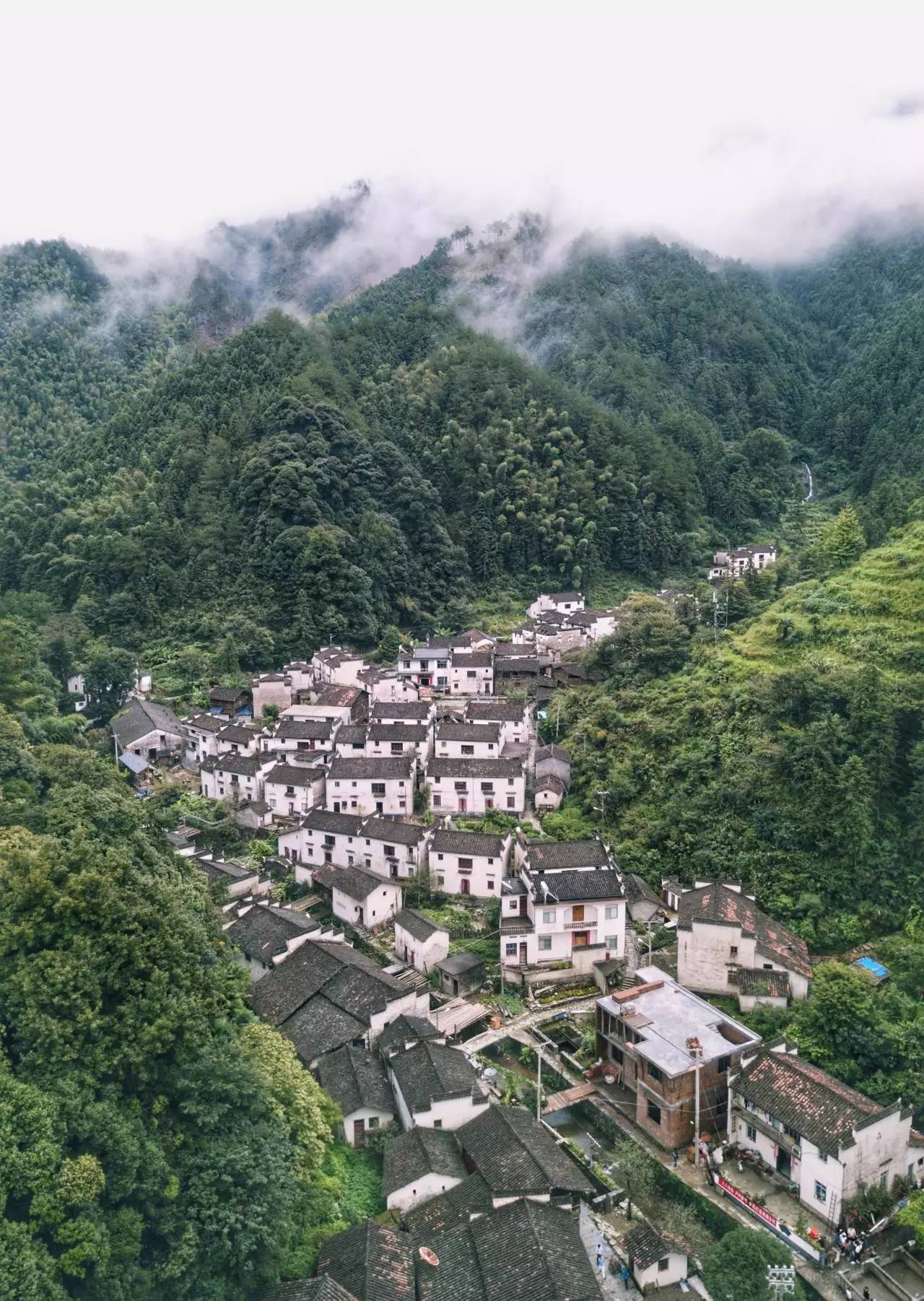 五大发展美好安徽闯新路︱垃圾成了抢手货,草