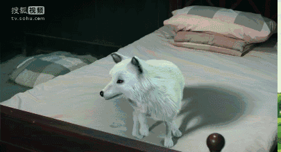 捉妖师尬上阴阳师络新妇姑获鸟无心法师2的打开方式有点酷