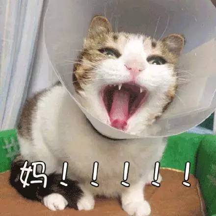 关注|"妈!我没钱啦!"你家大学生每月花多少?