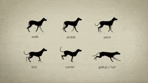 每日一笑, 七夕说好跟我过的,你又跟哪个小贱人上床了