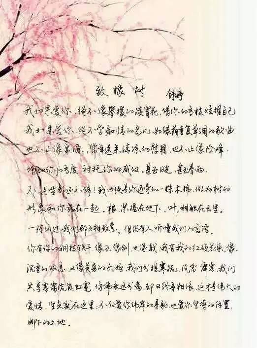 舒婷简谱_致橡树舒婷原文(2)