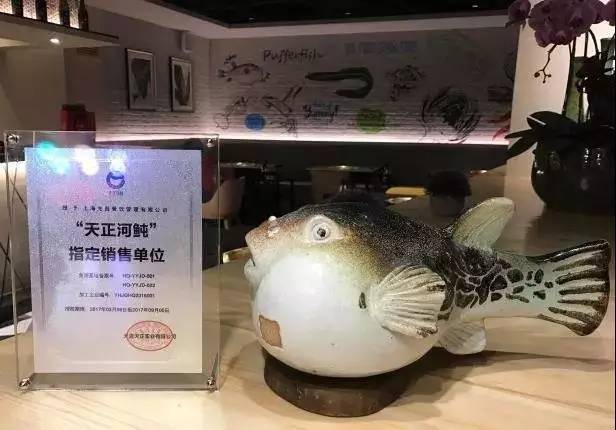 &#24320;&#20113;&#32593;&#39029;&#29256;