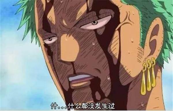海贼王:女帝娜美佩罗娜怀孕后,路飞山治索隆的表情是怎样的吗?