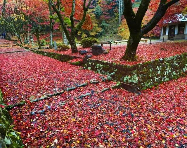 关西地区GDP_日本关西地区地图(2)