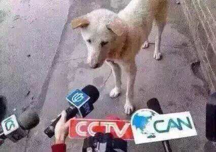 单身狗七夕节自赎指南 情侣永远不知道 