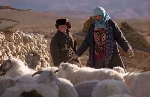 与巩俐齐名,出道18年斩获10个影后,为公益全裸