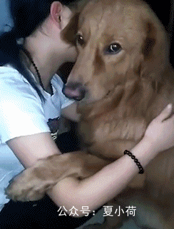 搞笑gif图:我要时刻擦亮自己的眼睛,生怕下一秒看不见