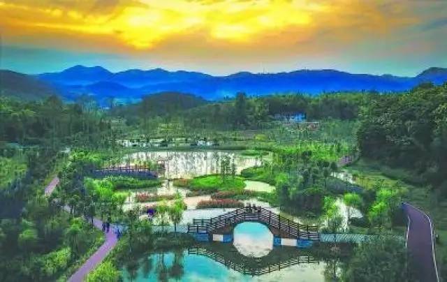 绿色咏叹--生态文明建设的福建实践