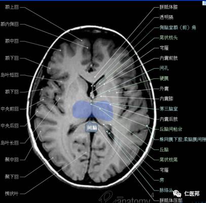 轴位多少正常吗,轴位是多少正常