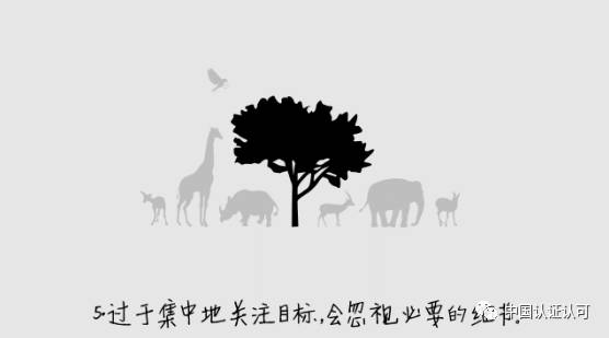 99F42FDBECDAC510A44CA206267DF2B58C32F6C6_size9_w556_h309.jpeg