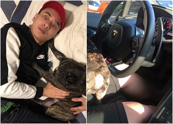 吐槽大:胸部被动画撞伤v动画800万钻石惊呼电影镶的人类男友未来网友图片