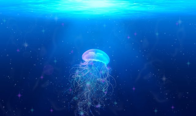 深海比你想象得要明亮，来看这些发光的深海生物