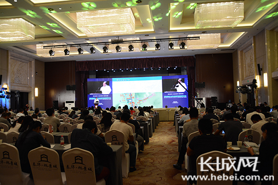 国内外专家学者齐聚衡水研讨交流 探索生态城市建设