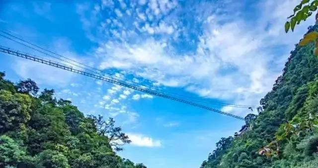今天!全广东最长最刺激玻璃桥正式开放!深圳出