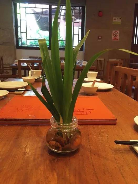 深圳这6间高逼格的素食餐厅，全吃过的，肯定是有钱人！