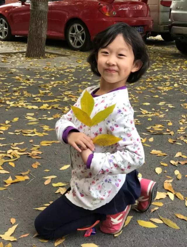 园林小讲师日记(二)丨园林有路勤为径 我的成