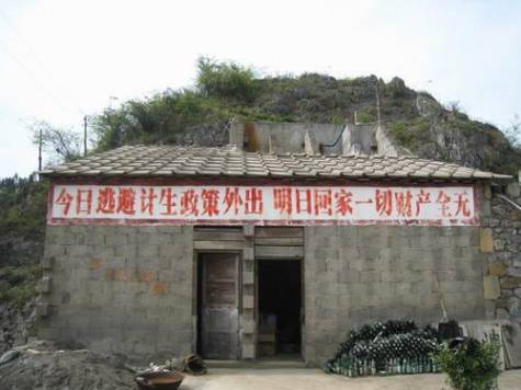 中国 人口坍塌_中国地图(3)