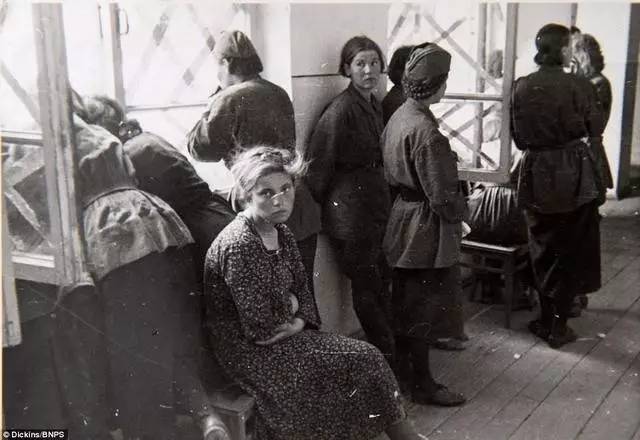 二战照片重见天日还原东线战场 斯大林儿子雅科夫被德军俘虏照片曝光