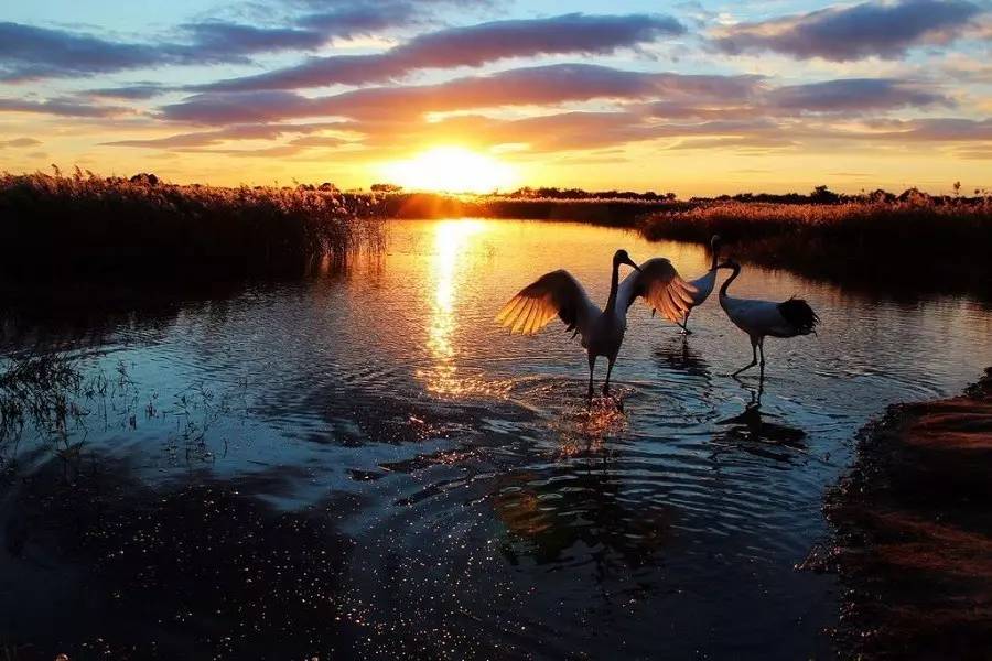 辽源市gdp排行_辽源市实验中学图片(3)