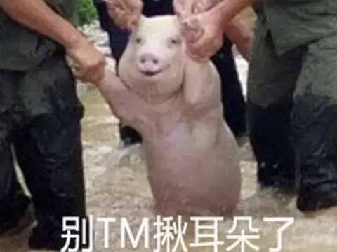 看了这些世界各地自然灾害中的动物们,我们哪还有理由