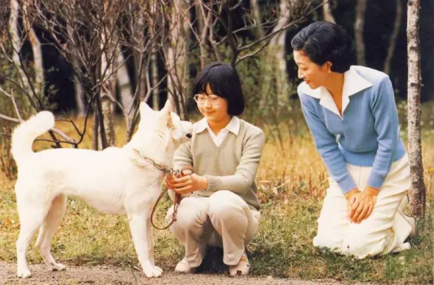 公主嫁平民,是一种怎么样的体验?
