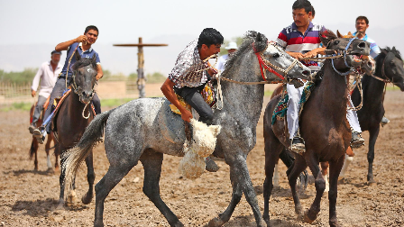 新疆巴楚维吾尔族民间竞技娱乐风俗：叼羊、斗鸡、斗狗、斗羊、刀郎舞