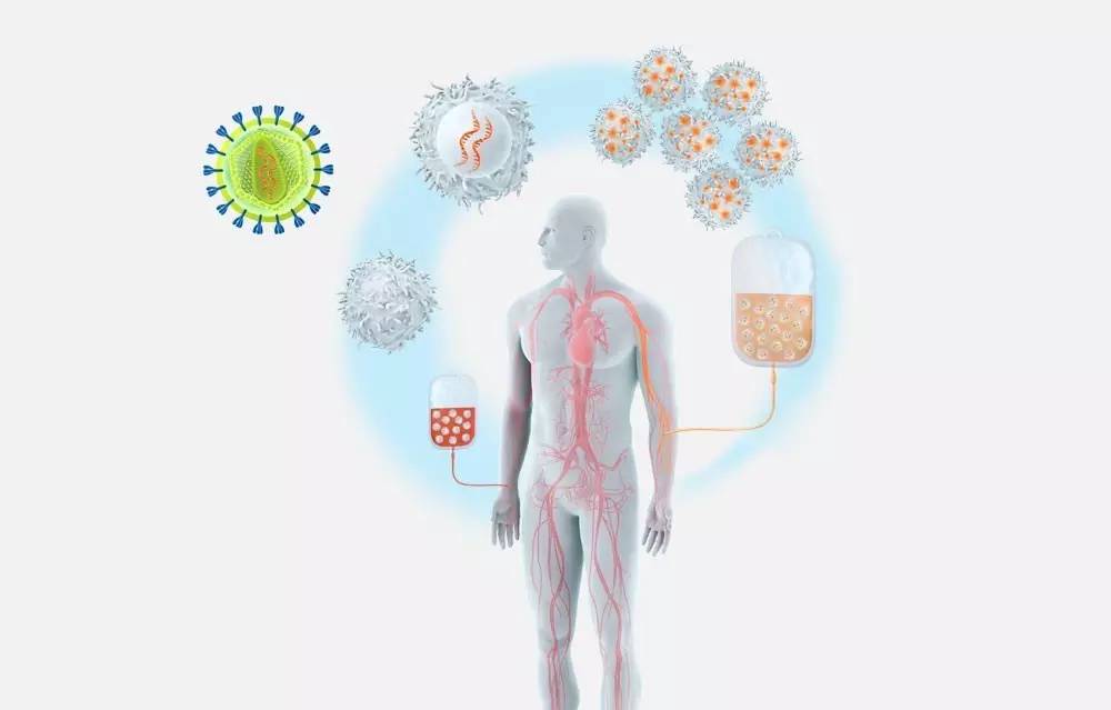 首个CAR-T药物成功上市凸显诺华王者荣耀,背