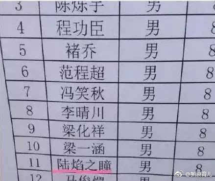 女婴起名王者荣耀引爆网络  “环球一号”和“环球二号”红极一时