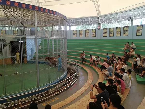 马戏团仍在进行表演。 园方称将对马戏团依法劝退 对此,广州动物园4日连发两份声明称,园方与马戏团是租赁关系,双方合同本应8月31日到期,园方也很早就给马戏团发送了通知书。但合同到期后,马戏团仍在违约经营,严重违反合同约定。 园方表示,目前马戏团的演出属违法经营,请广大游客不要购票入场参观。为保障游客和动物园的合法权益,园方将联系工商等执法部门,依法对马戏团进行劝退。