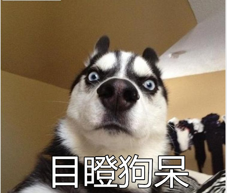 吴聘要死了,我只能抱着应聘cp的日常甜默默哭