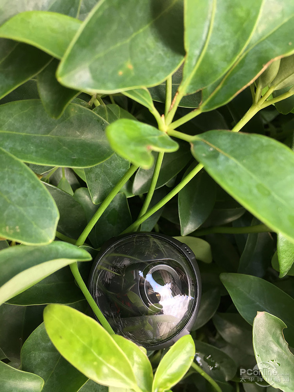 红狐狸 O₂ 评测