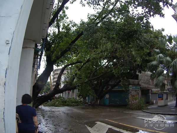 红狐狸 O₂ 样张