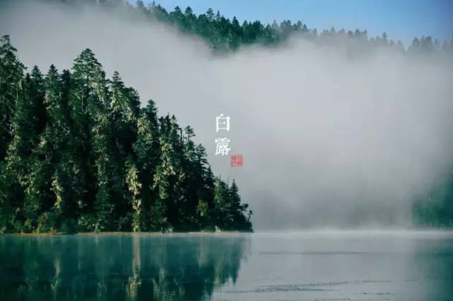 今日白露 | 露从今夜白,月是故乡明