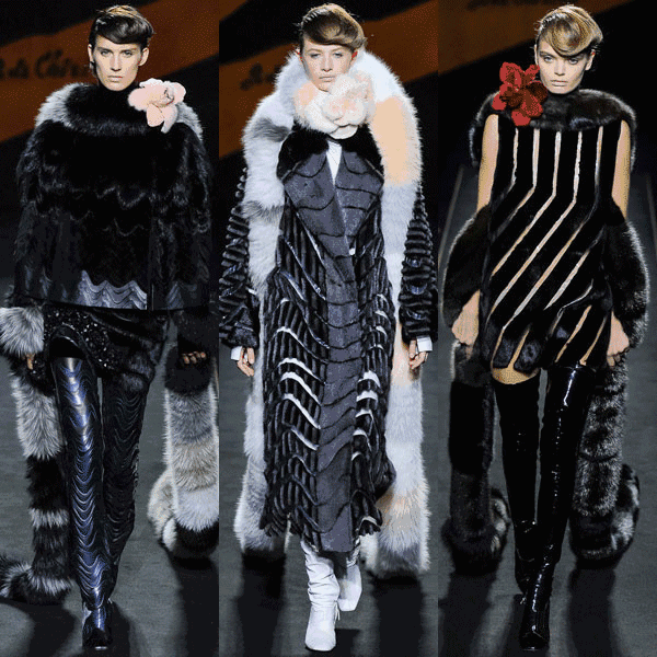 恐怖!为了一件狐皮大衣,他们竟然将狐狸养成了只会长