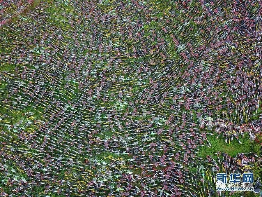 12个城市暂停新增投放 共享单车何去何从?