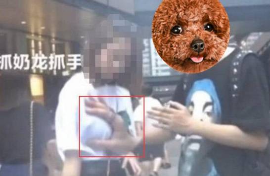 看到所谓的泡妞课程,才发现人的蠢与恶永无下限