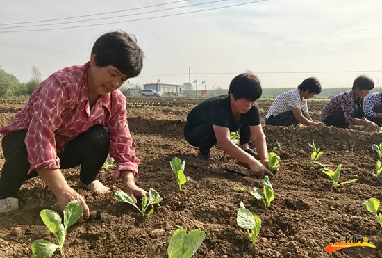 农业科技旅游 带动农户就业,让百姓吃上“旅游饭” 看这5位农业农村领域基层代表如何擘画农业新画卷