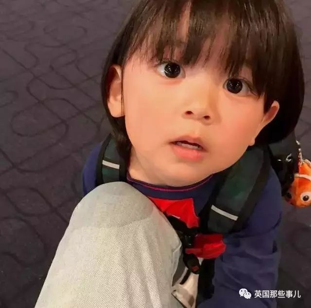 这个日本的小男孩是吃可爱多长大的吗?看完他的照片,心都萌化了