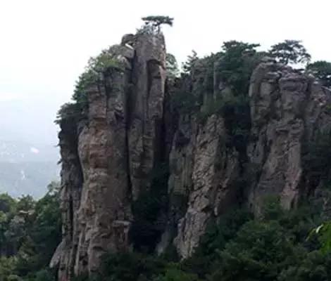 种茶始祖吴理真为何又被称为“甘露大师”?