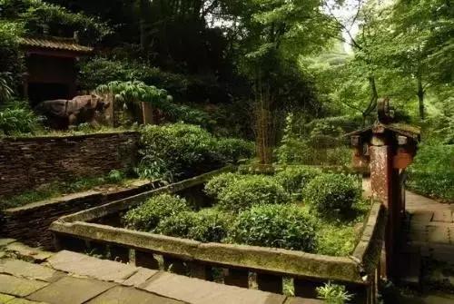 种茶始祖吴理真为何又被称为“甘露大师”?
