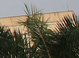 r-b-24mm-8 r-b-24mm-8